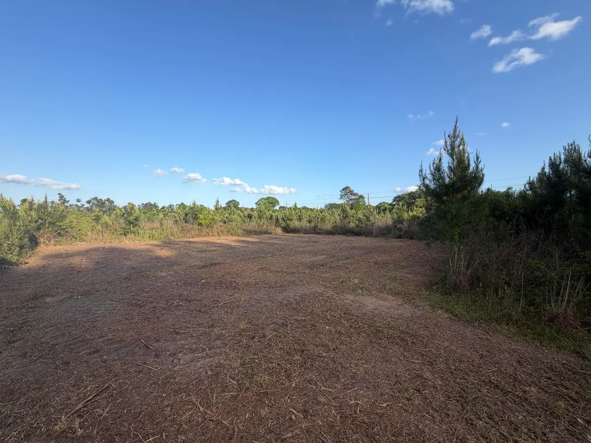 9 Acres Hwy 48 East, Sandy Hook, MS 39478 - #1