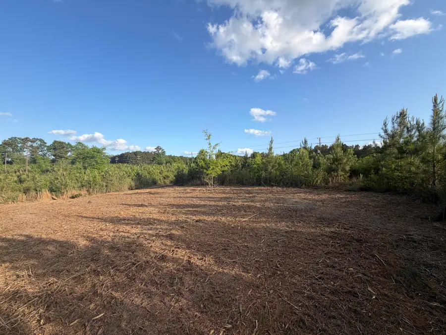 9 Acres Hwy 48 East, Sandy Hook, MS 39478 - #2