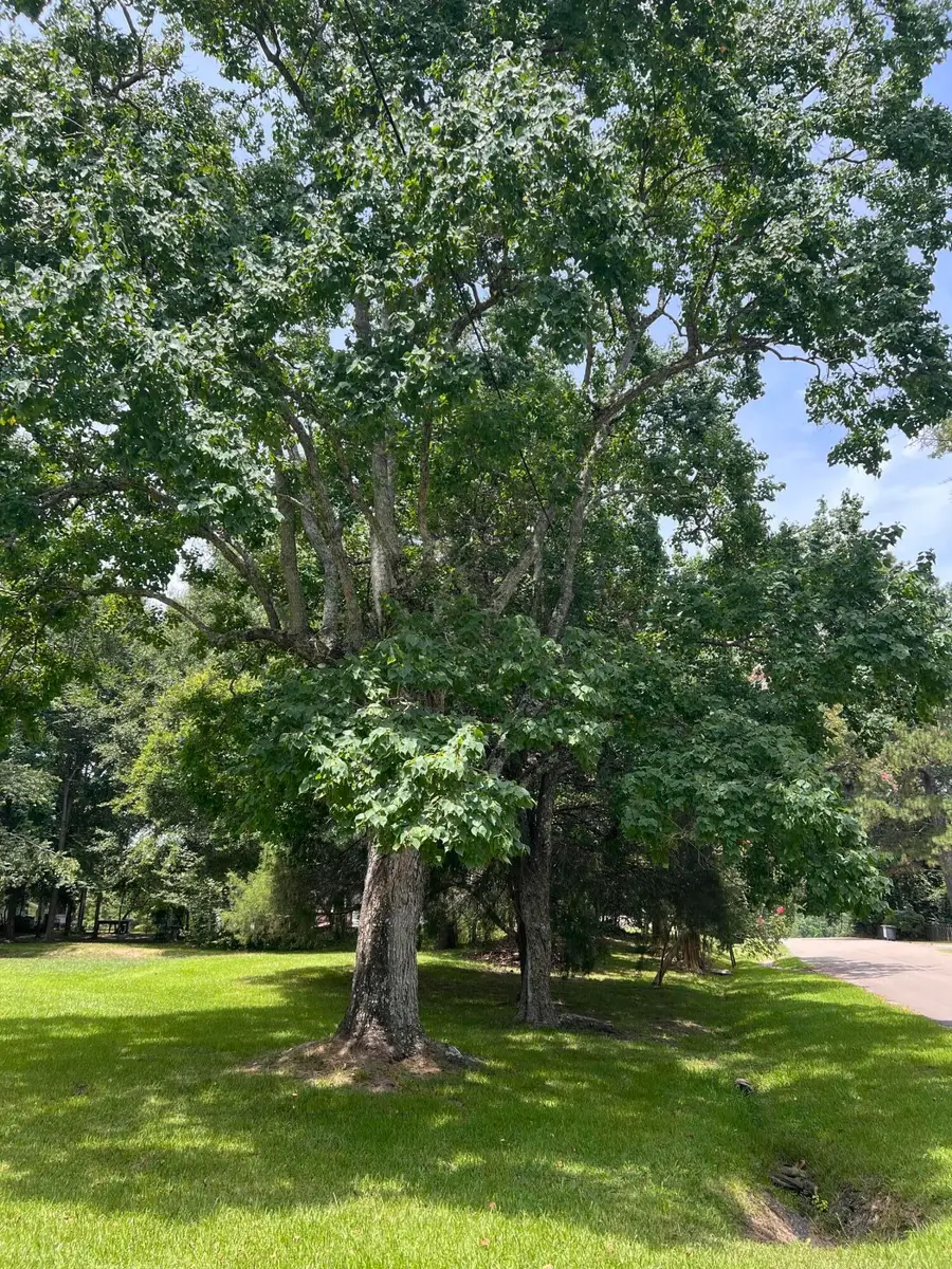 605 Elm St., Ellisville, MS 39437 - #2