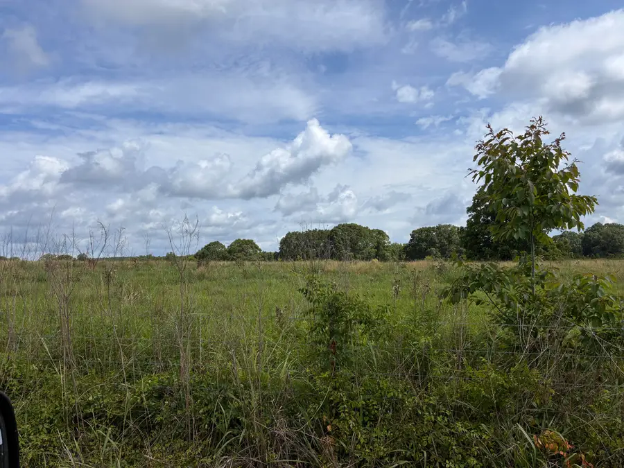 Lot 1 Pigott, Tylertown, MS 39667 - #3