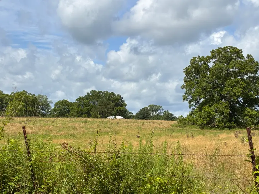 Lot 3 Pigott, Tylertown, MS 39667 - #2