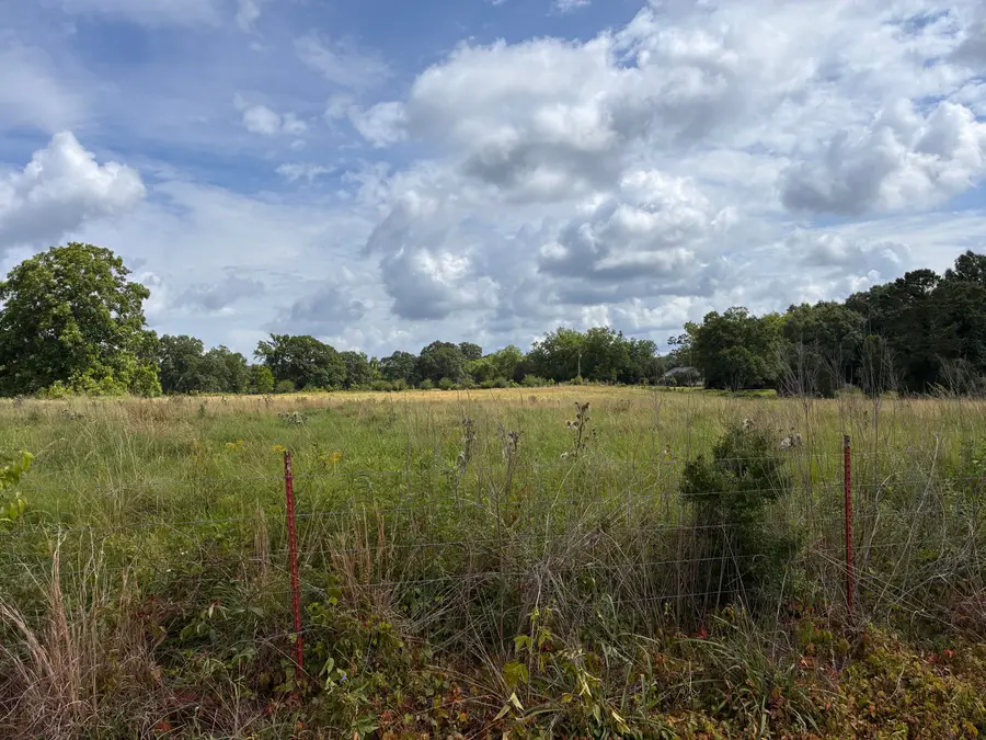 Lot 3 Pigott, Tylertown, MS 39667 - #3