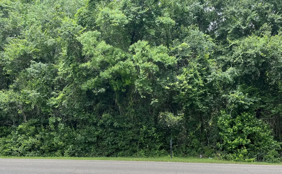 6.69 acres Leeville Rd., Petal, MS 39465 - #1