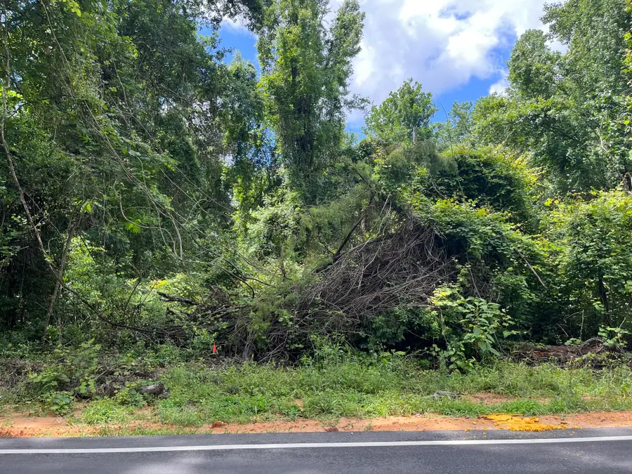 000 Leeville Rd., Petal, MS 39465 - #3