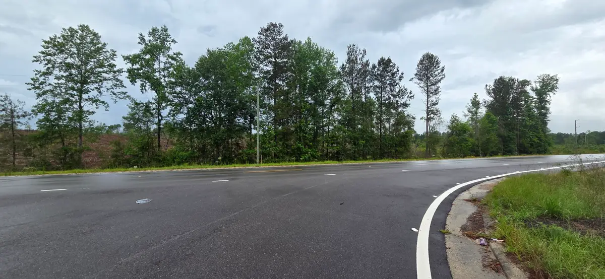 00 Highway 29, New Augusta, MS 39462 - #1