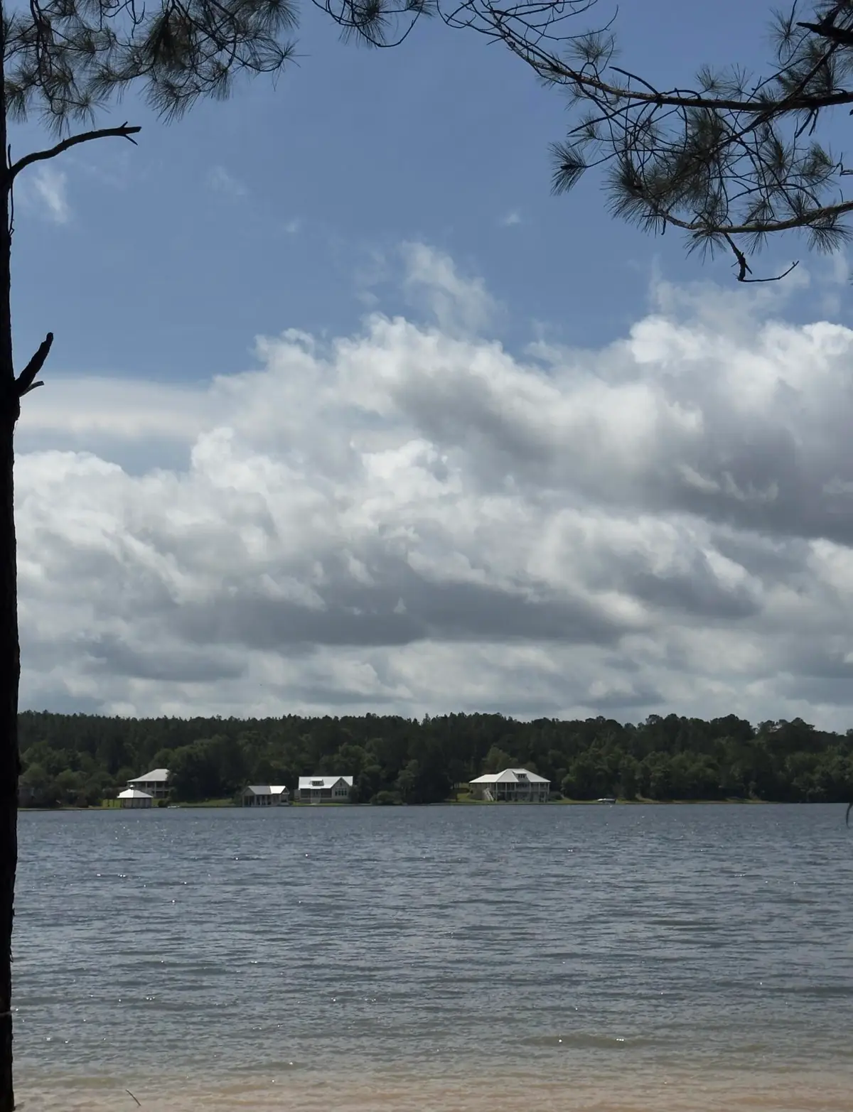 14 Red Wiggler Way, Lumberton, MS 39455 - #1