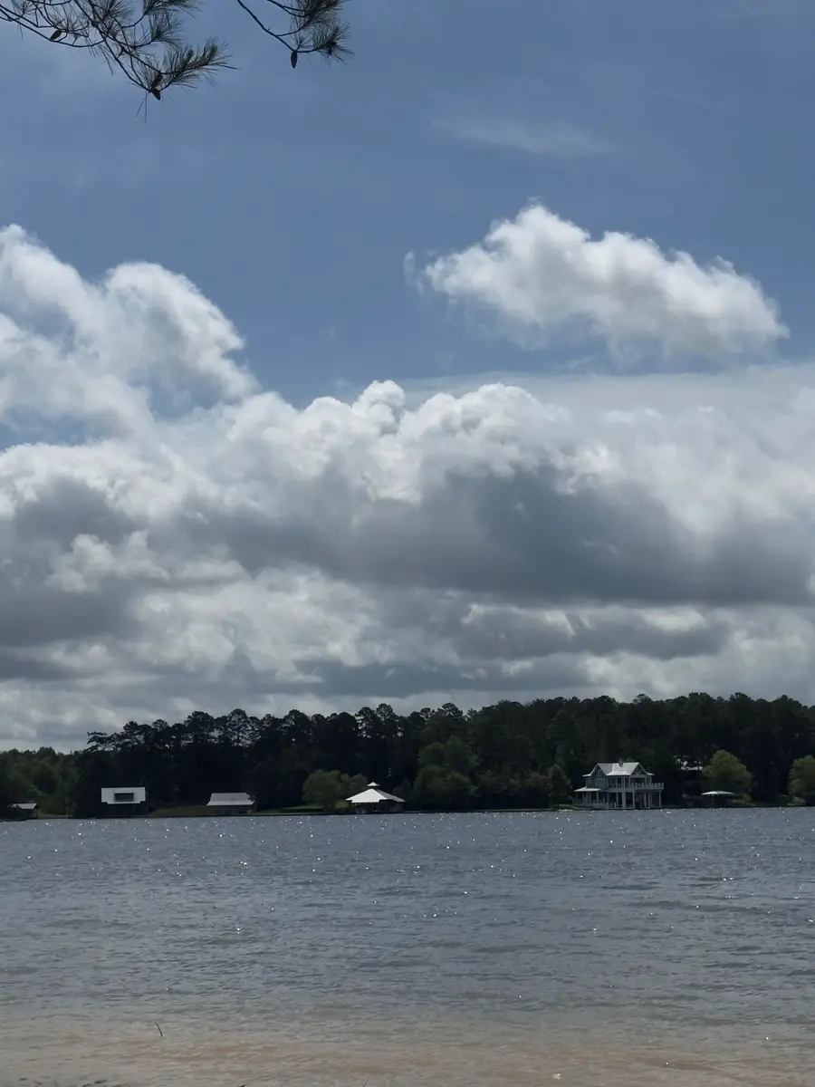 14 Red Wiggler Way, Lumberton, MS 39455 - #2