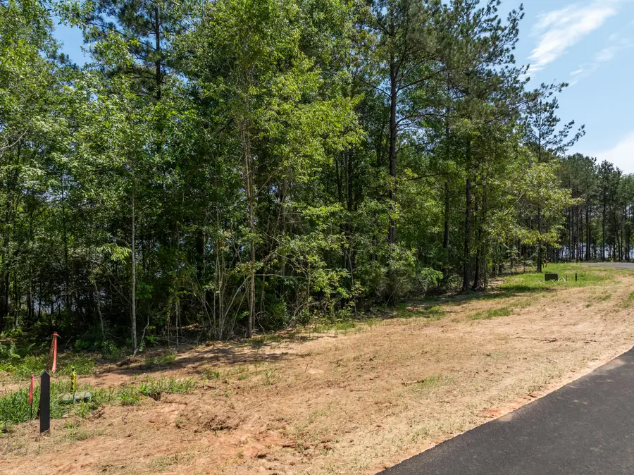Lot 67 Bennett Point, Lumberton, MS 39455 - #2