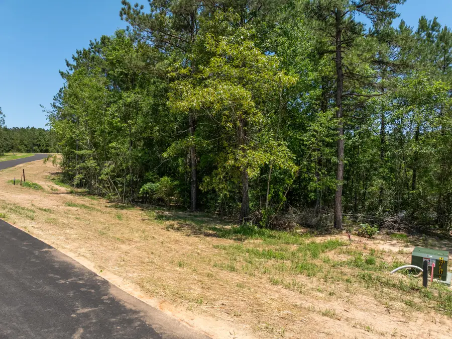 Lot 67 Bennett Point, Lumberton, MS 39455 - #3