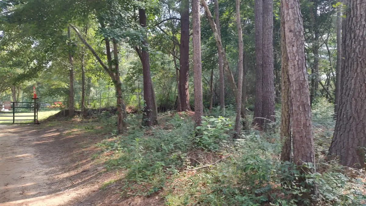 NHN Cheryl Ln., Lumberton, MS 39455 - #1