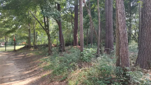 NHN Cheryl Ln., Lumberton, MS 39455