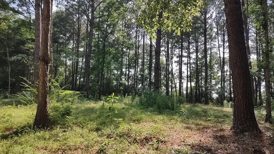 NHN Cheryl Ln., Lumberton, MS 39455 - #2