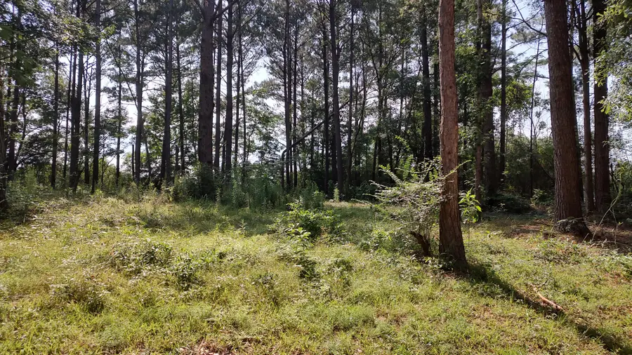 NHN Cheryl Ln., Lumberton, MS 39455 - #3