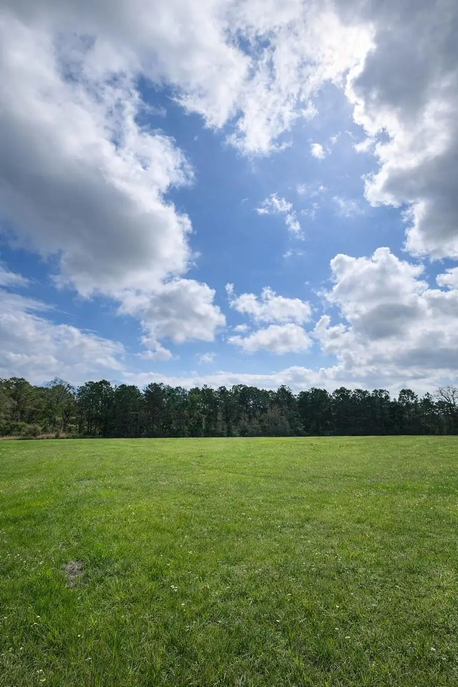 10.66 Acre Hwy 13, Lumberton, MS 39455 - #2