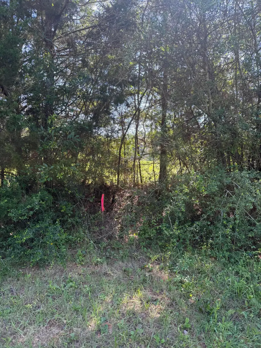 10.66 Acre Hwy 13, Lumberton, MS 39455 - #3