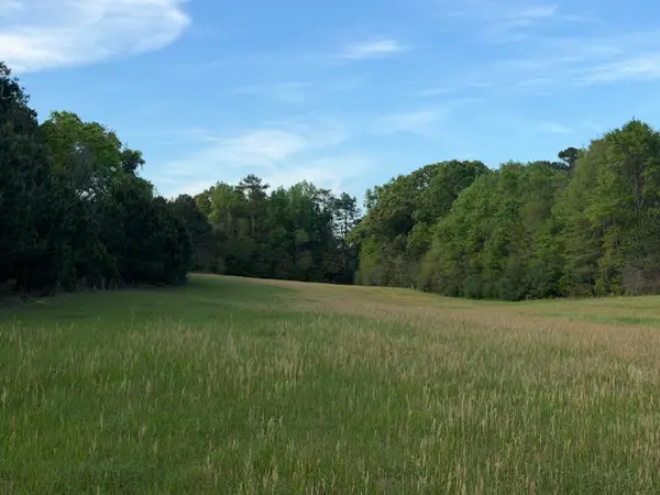 29.47 Acre Highway 13, Lumberton, MS 39455