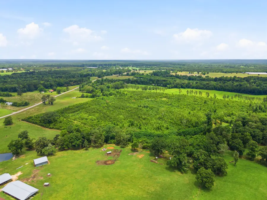 Lot 3 00 Ms Highway 29, Ovett, MS 39464 - #2