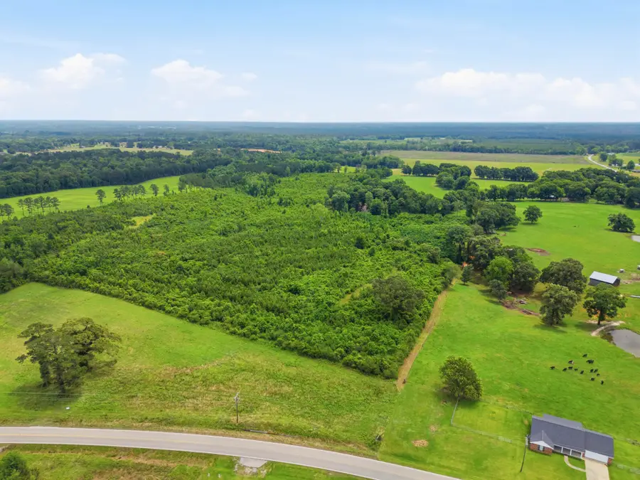 Lot 4 00 Ms Highway 29, Ovett, MS 39464 - #2