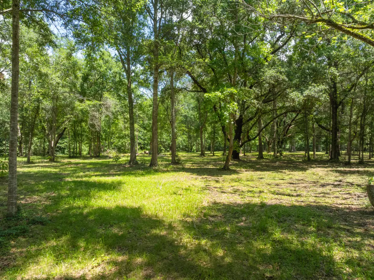 12.49 Acr F Z Goss, Picayune, MS 39466 - #1