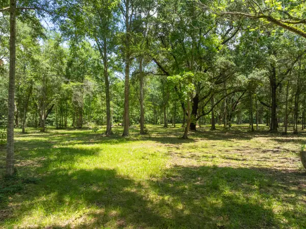 12.49 Acr F Z Goss, Picayune, MS 39466