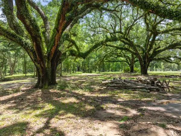72 F Z Goss, Picayune, MS 39466