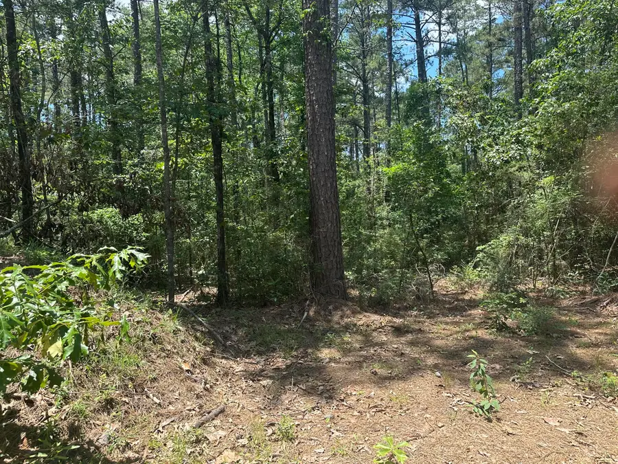 2032 Old Highway 24, Hattiesburg, MS 39402 - #3