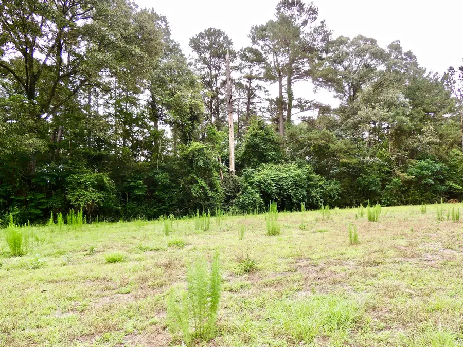 000 Rocky Branch Rd., Sumrall, MS 39482 - #2