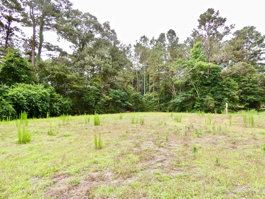 000 Rocky Branch Rd., Sumrall, MS 39482 - #3