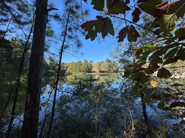 191 W Bay (lot 19) Dr., Lumberton, MS 39455 - #1