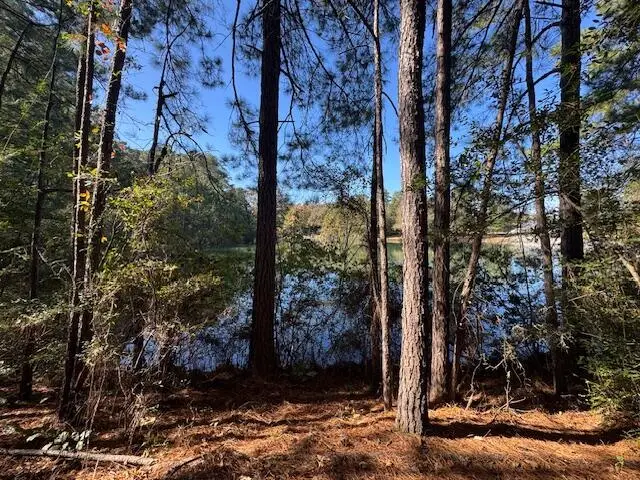 191 W Bay (lot 19) Dr., Lumberton, MS 39455 - #2