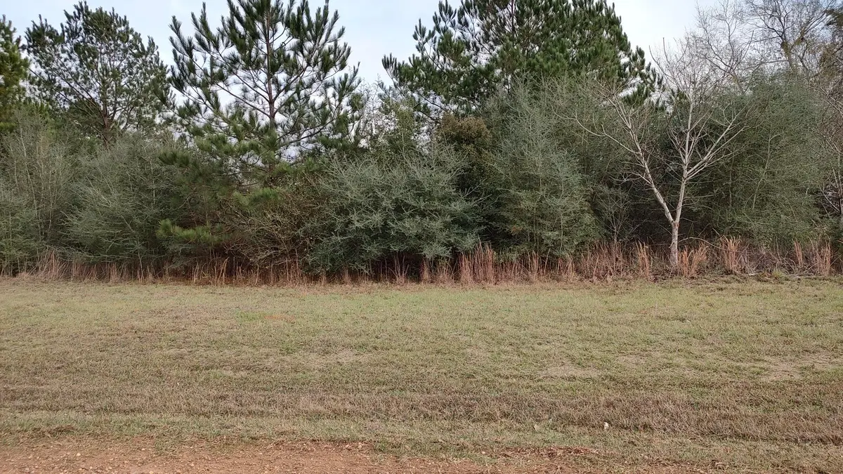 NHN N Resort Dr., Lumberton, MS 39455 - #1