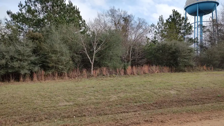 NHN N Resort Dr., Lumberton, MS 39455 - #2