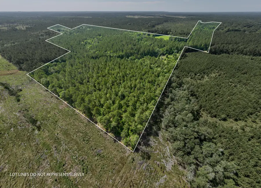 00 Ab Jordan Dr., Richton, MS 39476 - #2