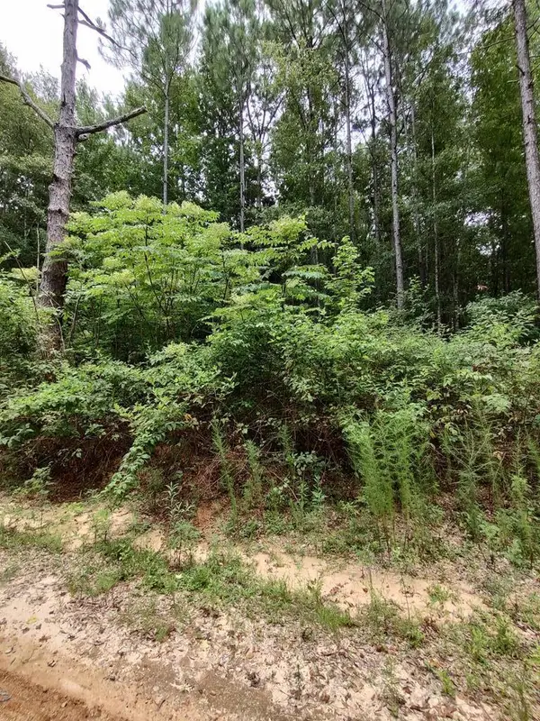0 Lakeshore Dr., Lumberton, MS 39455