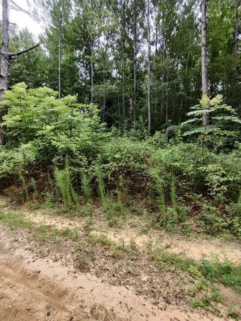 0 Lakeshore Dr., Lumberton, MS 39455 - #3