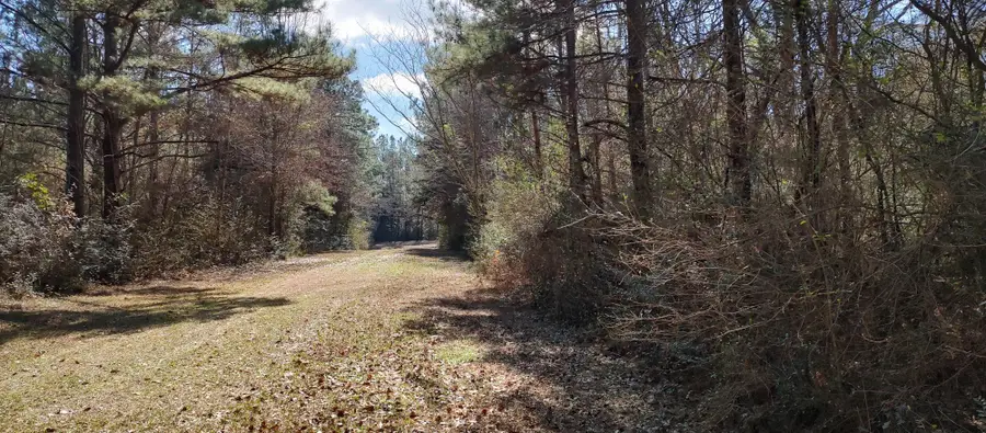 0 Pecan Dr., Lumberton, MS 39455 - #2