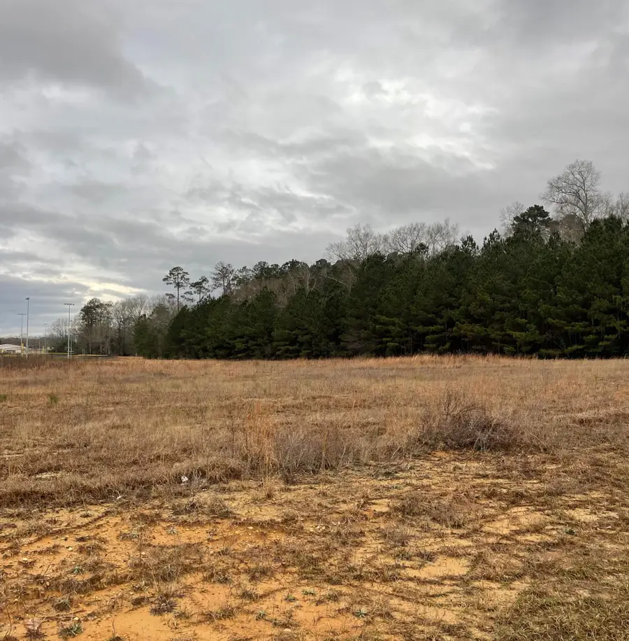 Lot 4 R A Johnson Dr., Columbia, MS 39429 - #2