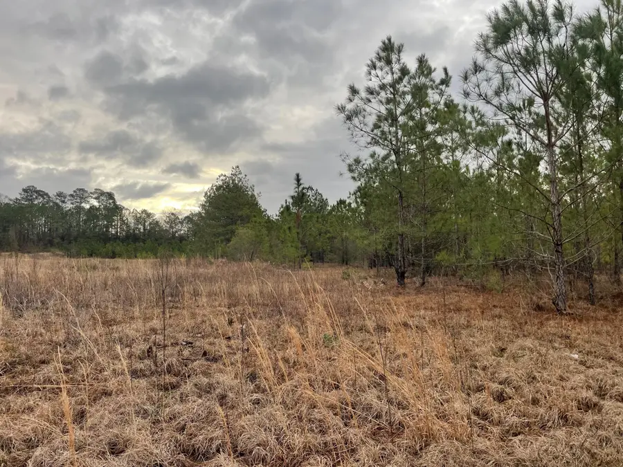 Lot 8 Sumrall Rd., Columbia, MS 39429 - #3