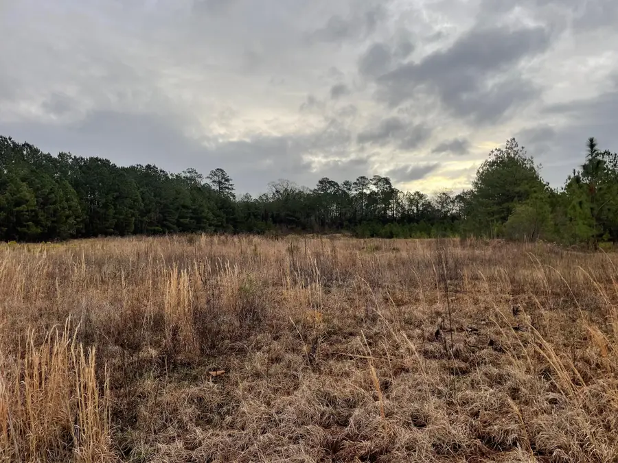 Lot 9 Sumrall Rd., Columbia, MS 39429 - #2