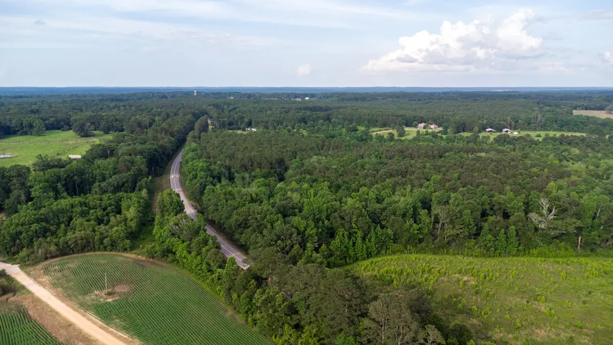 00 Mississippi 589, Seminary, MS 39479 - #1