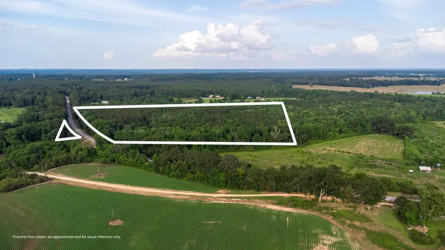 00 Mississippi 589, Seminary, MS 39479 - #2