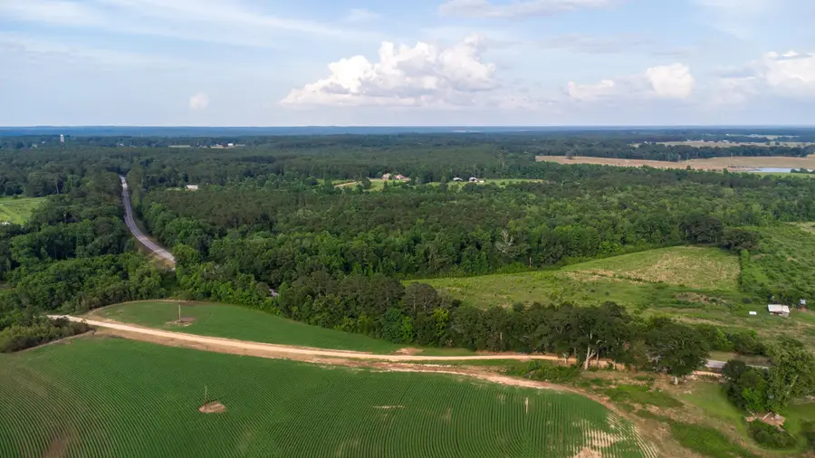 00 Mississippi 589, Seminary, MS 39479 - #3
