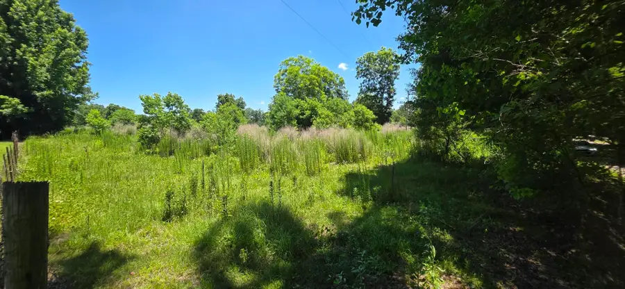 0 Buford Evans Rd., Petal, MS 39465 - #2