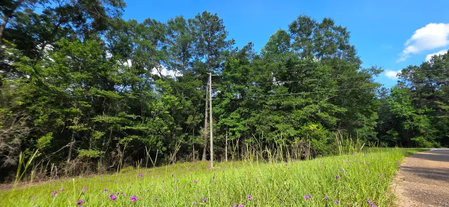 0 Turkey Fork Rd., Richton, MS 39476 - #2