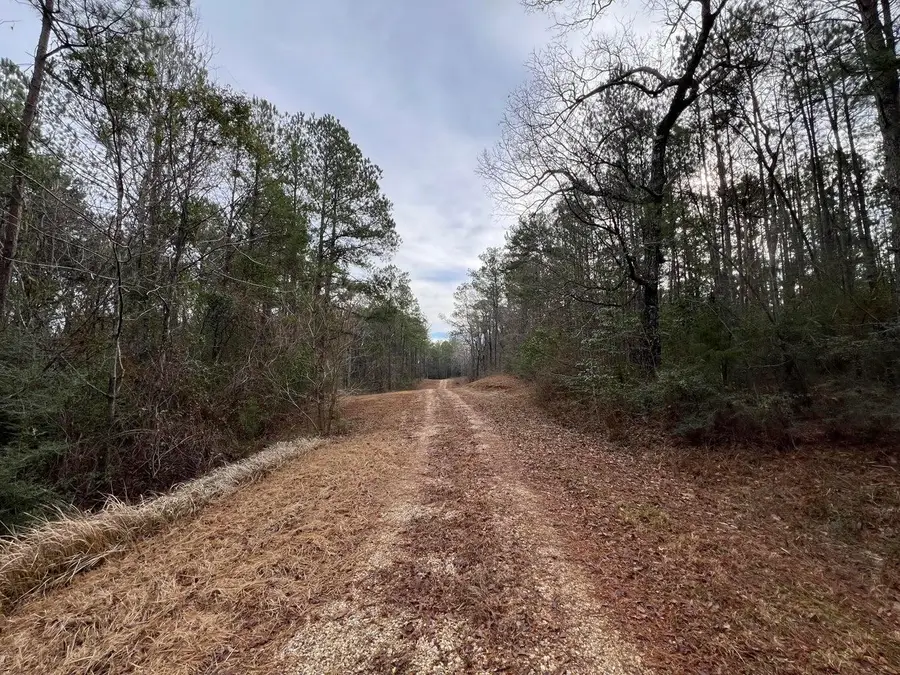 107 Fairview Dr., Petal, MS 39465 - #2