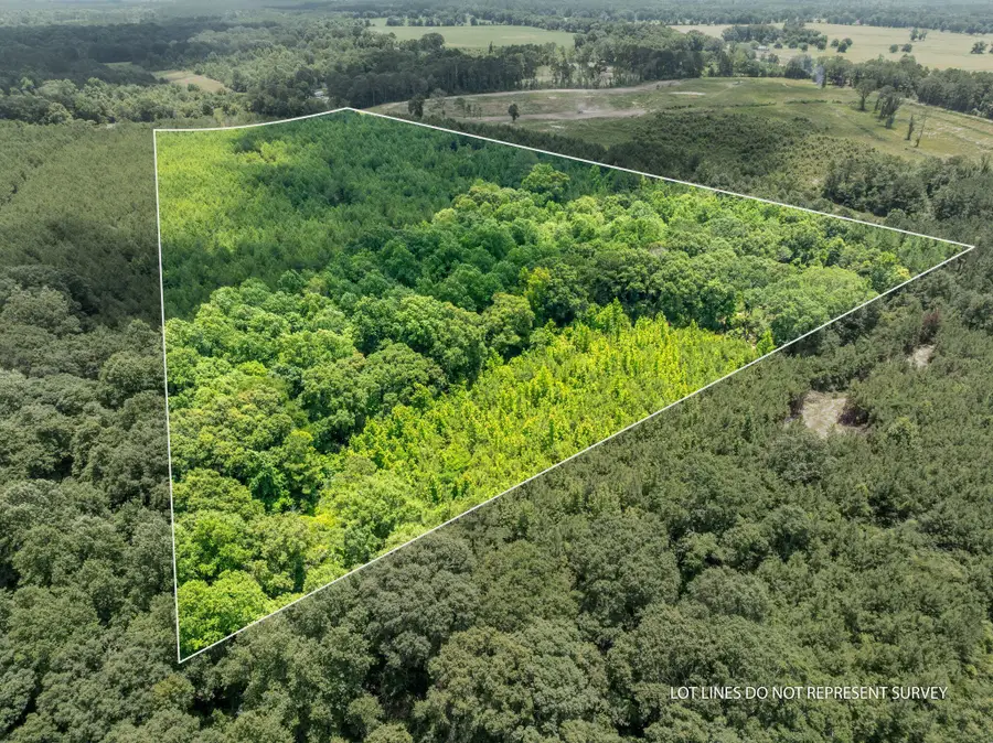 31 Acres Ridgeland Rd., Bassfield, MS 39421 - #2