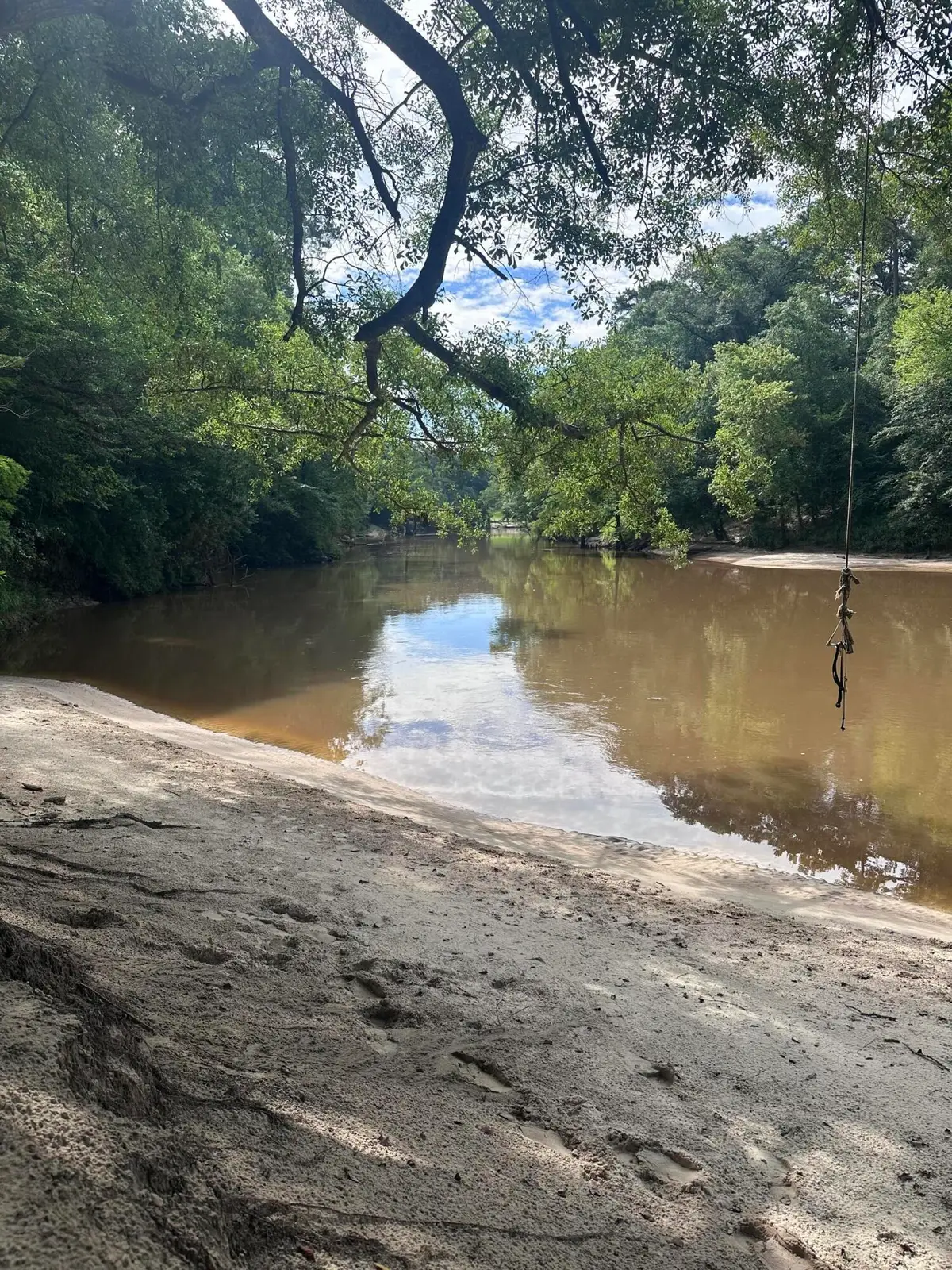 00 Tranquility Ln., Moselle, MS 39459 - #1