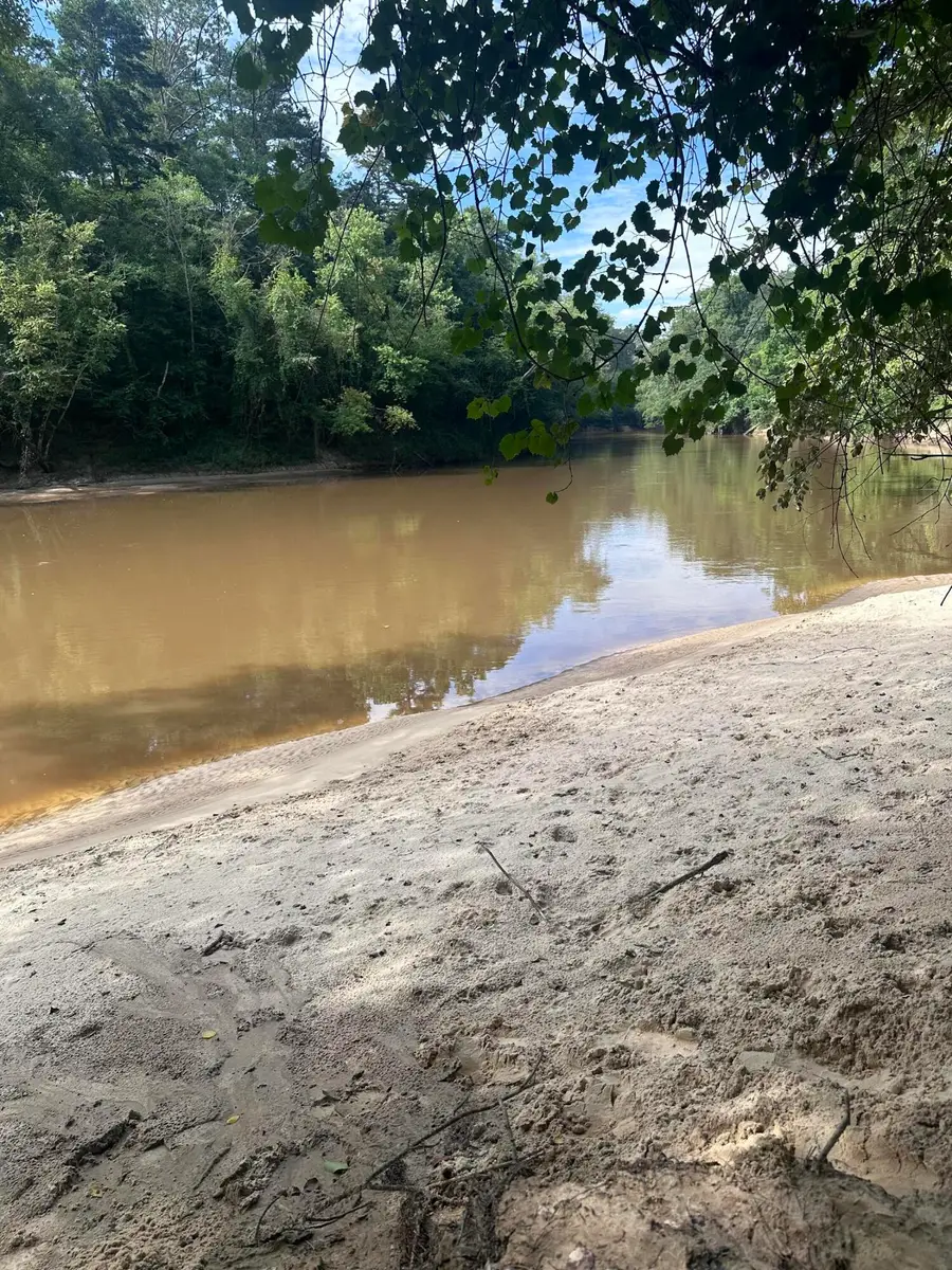 00 Tranquility Ln., Moselle, MS 39459 - #2