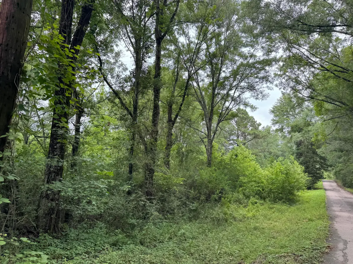 590 Poplar St., Sumrall, MS 39482 - #1