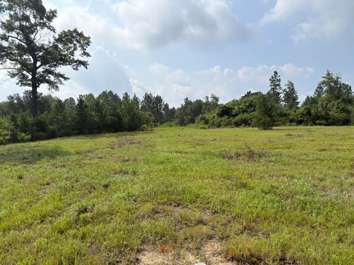 TBD Dexter Centerville Rd, Tylertown, MS 39667 - #1
